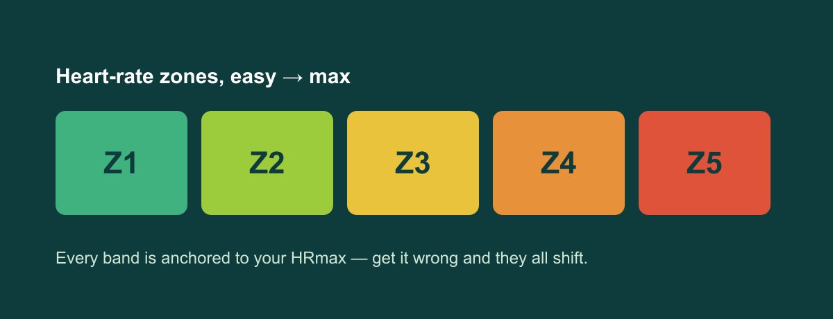 Five heart-rate training zones from easy to maximum